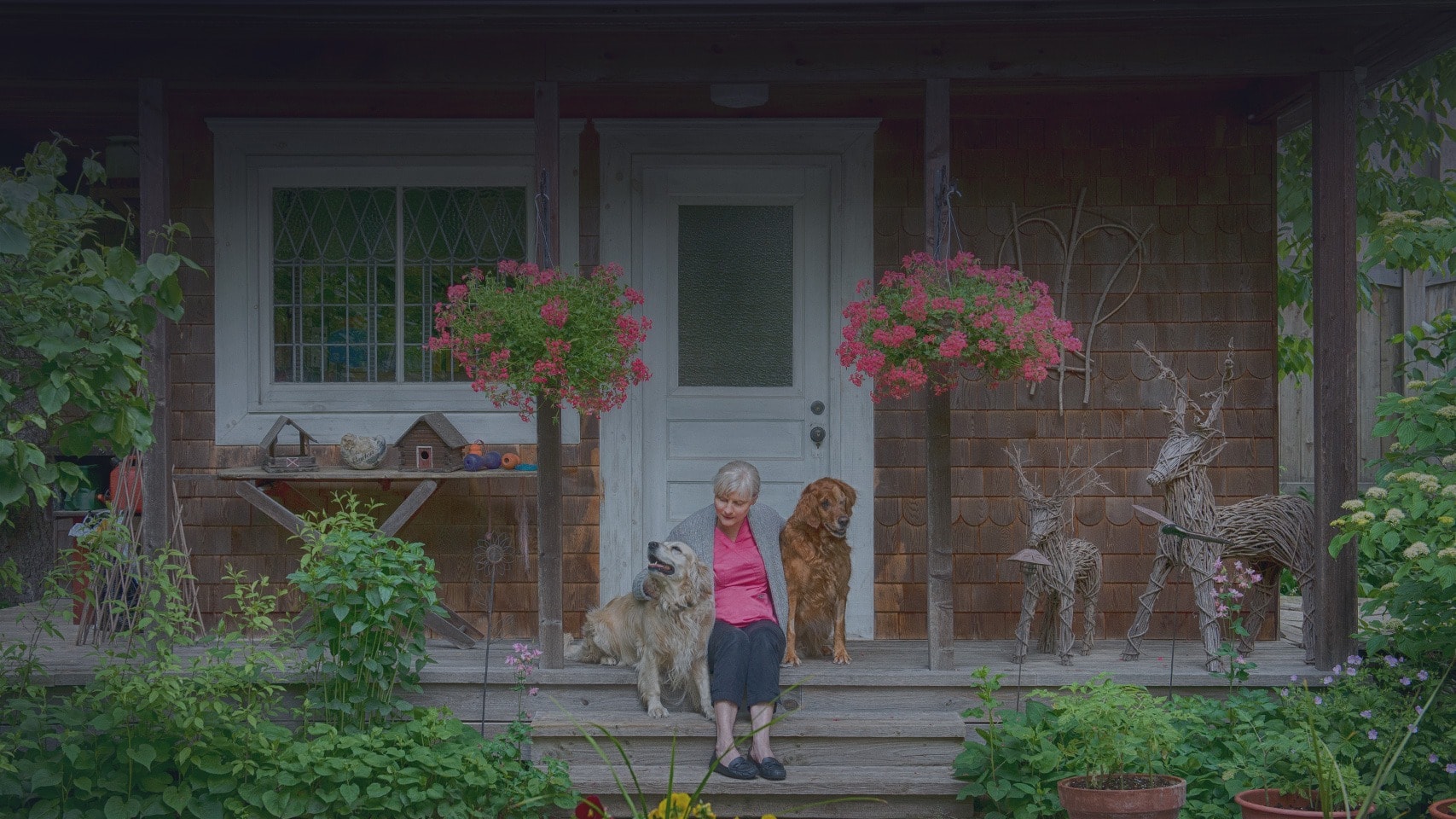 Hurontario Veterinary Hospital Mississauga, Ontario